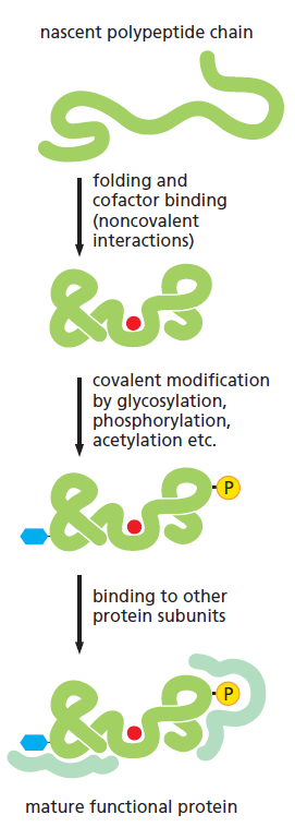 Figure 6-77.png
